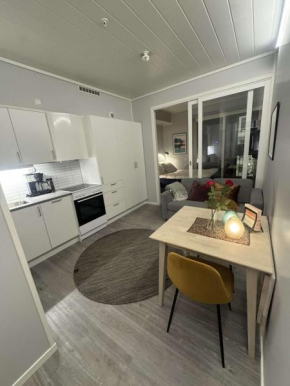 Central City Apartment